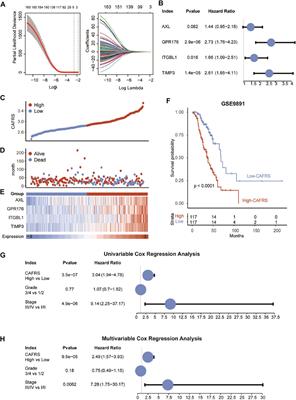 Identification of a Gene Signature of Cancer-Associated Fibroblasts to Predict Prognosis in Ovarian Cancer